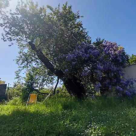 Evasion Nature Et Convivialite 3* Sourcieux-les-Mines