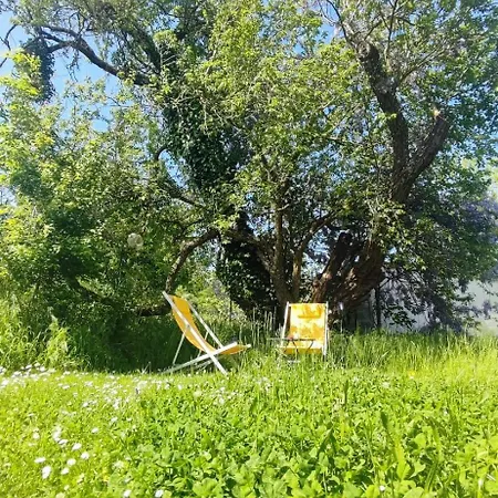 Πανσιόν Evasion Nature Et Convivialite Sourcieux-les-Mines